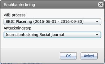 . Välj vilken typ av journal du kommer att skriva mellan undermenyerna HSLjournal, LSS-journal samt Social journal.