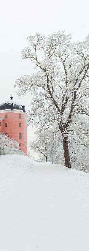 Resultat- och balansräkning 2017-12-31 RESULTATRÄKNING, januari december ÅR 2017 ÅR 2016 Intäkter och värdeförändringar Värdeförändringar på överlåtbara värdepapper 572 438 395 189 376 639