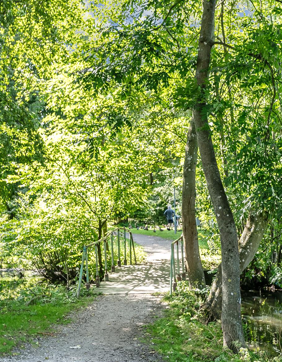 Omgivningen Orangerihusen passar väl in i Åkarps redan befintliga bymiljö där Åkarp utmärker sig med sin lummiga uppväxta grönska och tidigare kännetecken i sin trädgårdshandel.