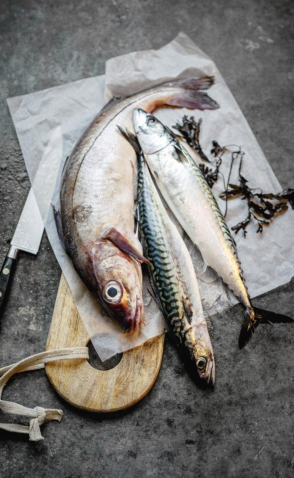 Livsviktig njutning Fisk en unik råvara Du har säkert hört uttrycket att äta för två när man är gravid.