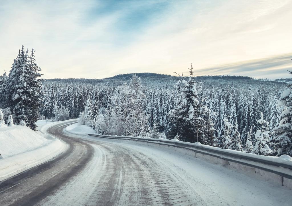 Exempel 2 FUNKTIONELL SYNFÖRMÅGA SOM EN UTGÅNGSPUNKT FÖR UNDERSÖKNINGAR En undersökning av funktionell synförmåga kan användas för att skapa en överblick av situationen med sikte på att