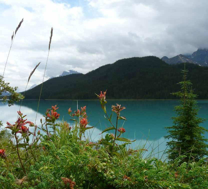 Följ med till Kanada ett land med många kontraster Vi börjar i Calgary och rör oss genom provinserna Alberta och British Columbia för att avsluta resan i Vancouver.