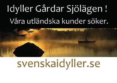SKIDSKOLA I SOMMAR 23-25 juli kl. 10.30 till 13.30, Mid Sweden 365, Gällö.