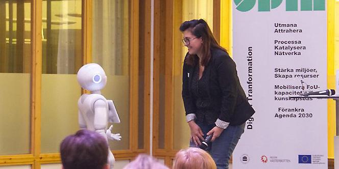 SPIN, SamverkansPlattform för IT-innovation i Norr, är en samverkan mellan IT-bolag, Umeå universitets IT-institutioner och kommuner i syfte att stärka den regionala förmågan att möta digitalisering.