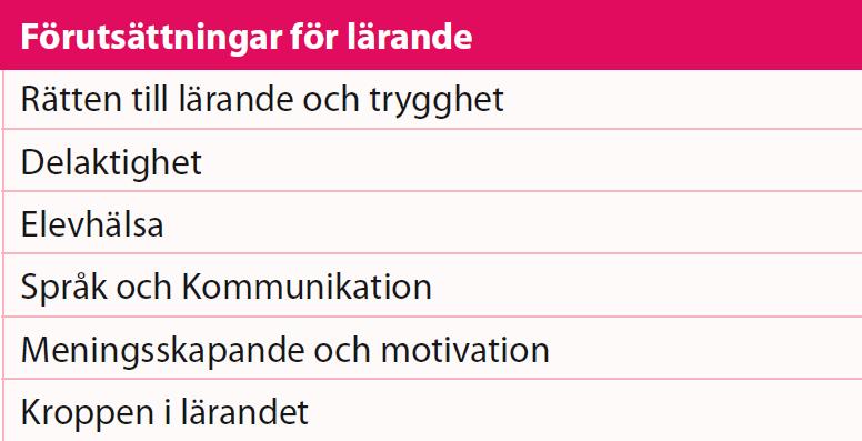 Lärare: Att hitta beröringspunkter för honom eller henne, Våga ha förväntningar på eleven Specialpedagog: Den