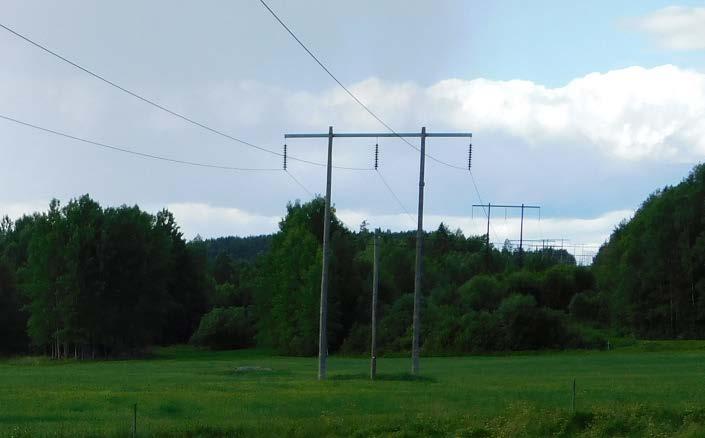 Figur 3. Portalstolpar tillhörande aktuell ledning. Med ledningsgata avses det röjda markområde (skogsgata + sidoområden) som sträcker sig längs en kraftledning eller liknande.
