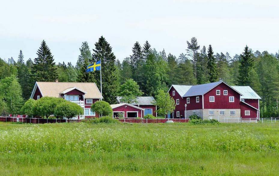 Vidbyggt varmgarage ca 30 kvm. Uppvuxen & välplanerad hörntomt i barnvänligt område.