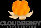 CLOUDBERRY FORSKNINGSCENTER 12