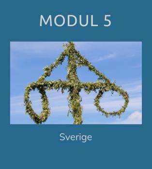 Modul 1 omfattar tre kapitel i boken Rivstart A1 + A2.