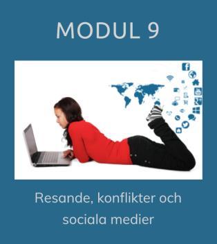 Kurs C-D För dig som studerat ett tag och kan en hel del svenska