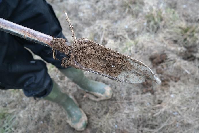 Många metaller finns i en lägre halt i det övre oxiderade sedimentet än i det reducerade sedimentet under till följd av urlakning ur den sura sulfatjorden (Sohlenius et al., 2015).