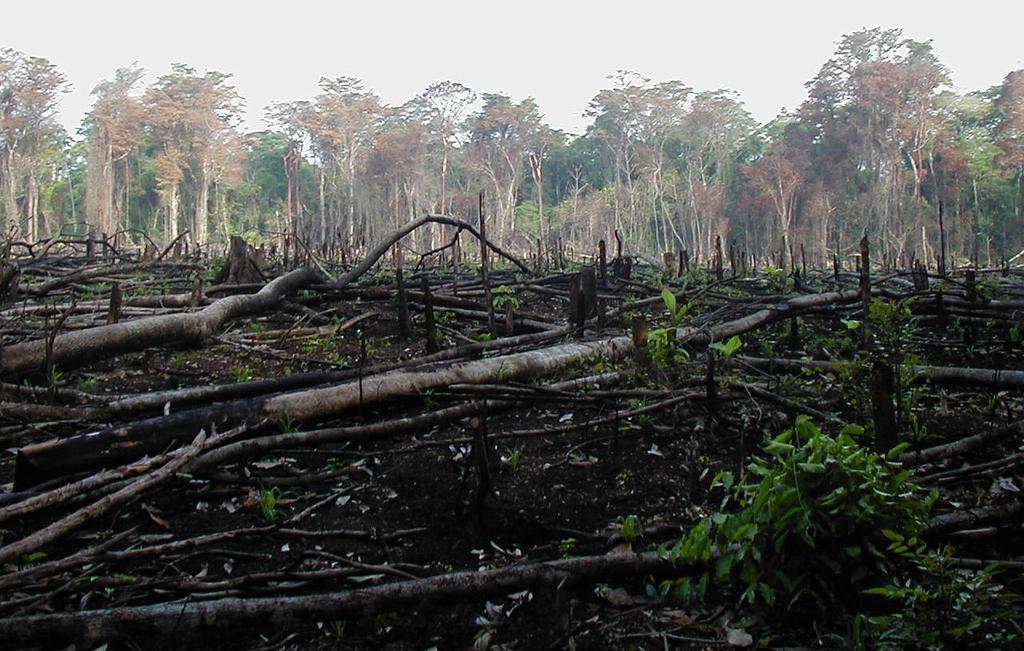 klimatförhållanden människans livsvillkor i