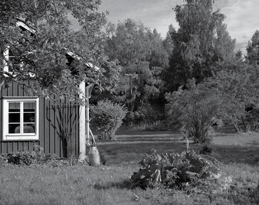 Du får kännedom om olika berättartekniska begrepp, utvecklar din berättarröst och hittar dina egna historier. to 18.00 20.30 5 20/9 1.950:- on 17.30 19.45 8 12/9 1.500:- Släktforskning to 17.30 19.45 8 20/9 1.