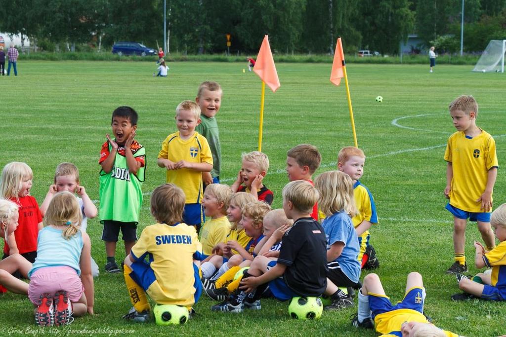 Spelarutbildningsplan Skåne (SUP:en)