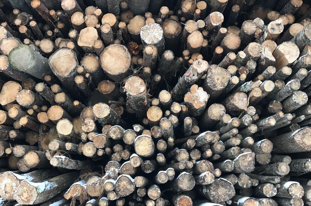 Kort om bolaget Phoenix BioPower utvecklar en ny teknik för högeffektiv biokraft. I över 200 år har vi omvandlat energin i biomassa till kraft eller elektricitet med samma grundteknik: ångpannan.