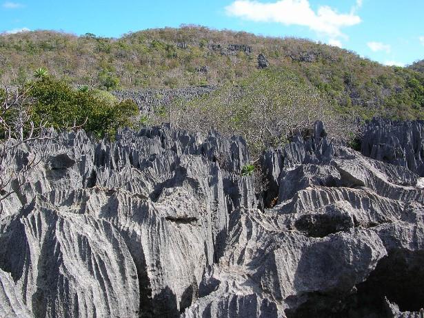 Madagaskars magiska natur Om man vill utforska mer av Madagaskar kan man följa med på en tilläggsresa till några av de mest intressanta områdena i övärldens säregna naturen.