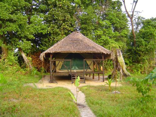 SÖNDAG 5 JANUARI : ANTANANARIVO TILL MASOALA NATIONALPARK Avresa med Air Madagaskar till Maroantsetra på huvudöns nordöstra sida (se karta).