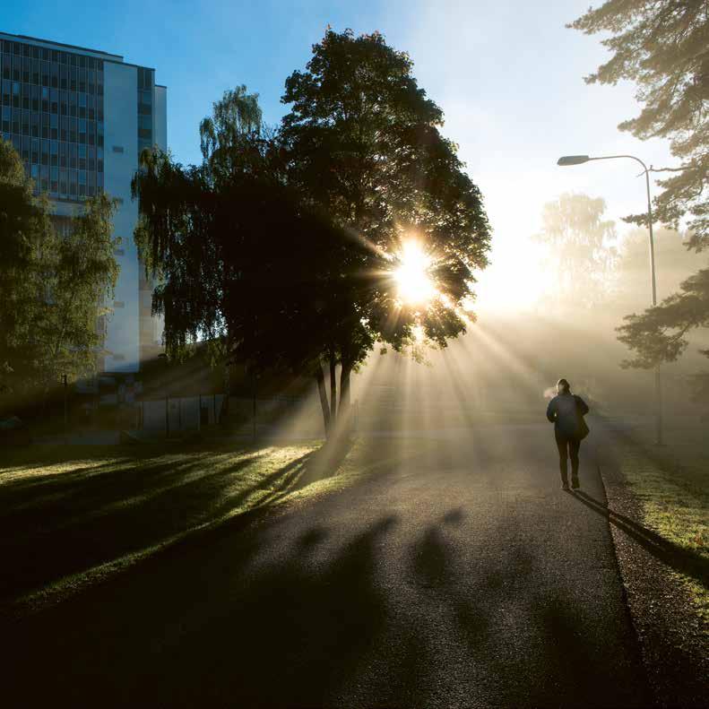 Foto: Sjukhusfotograferna