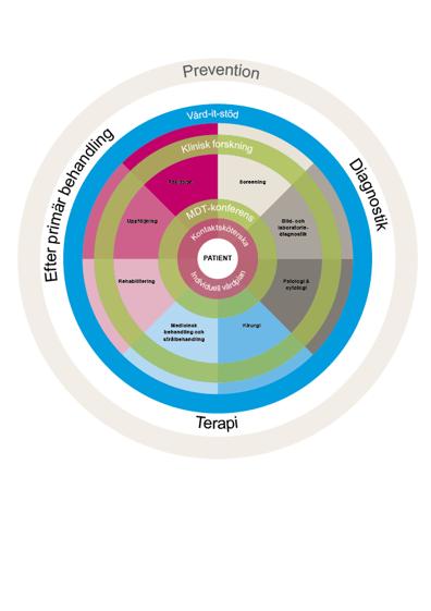 7 Cancervården Genomförande av regional cancerplan, exempel Nivåstrukturering Jämlik vård