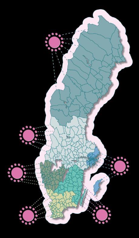 Vad är resurscentrum? En samordnad arbetsform/funktion inom varje sjukvårdsregion.