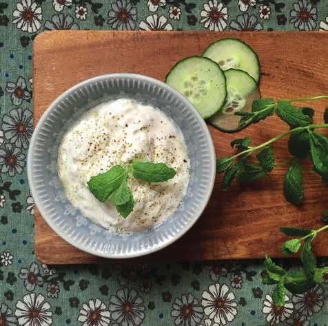 Tzatziki 2 portioner 10 cm gurka 1½ dl turkisk yoghurt (10 % fett) ca 1 pressad vitlöksklyfta en nypa salt 1. Riv gurkan grovt med rivjärn och pressa ur överflödig vätska. 2. Blanda Fortimel Compact Neutral och yoghurt i en skål.