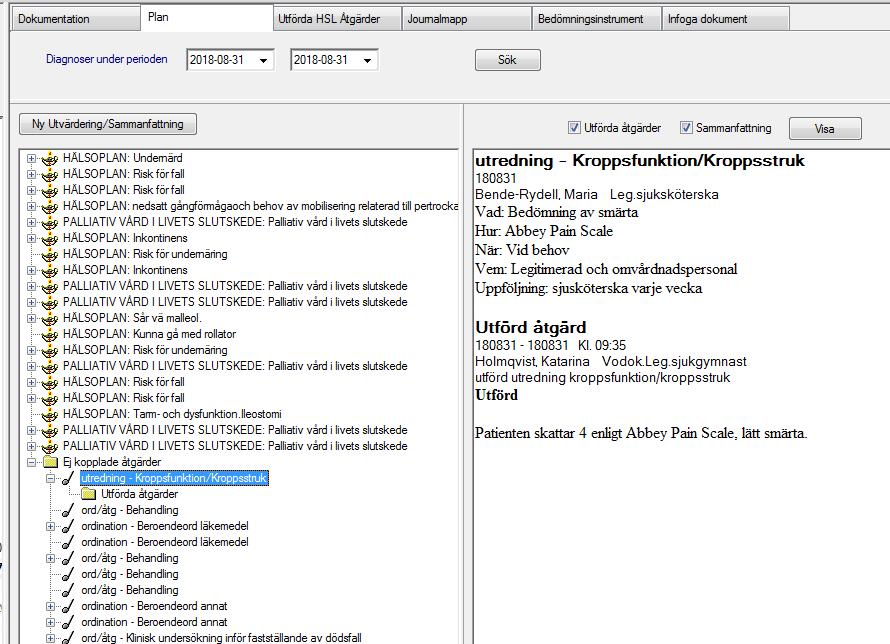 Läsa planerade och utförda ordinationer/åtgärder Klicka på fliken Plan.