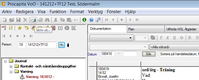 fliken Plan Utskrifter Det finns tre sätt att skriva ut journalen/delar av journalen.