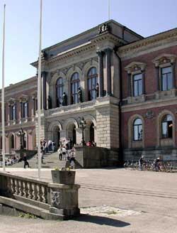Mat och fysisk aktivitet för