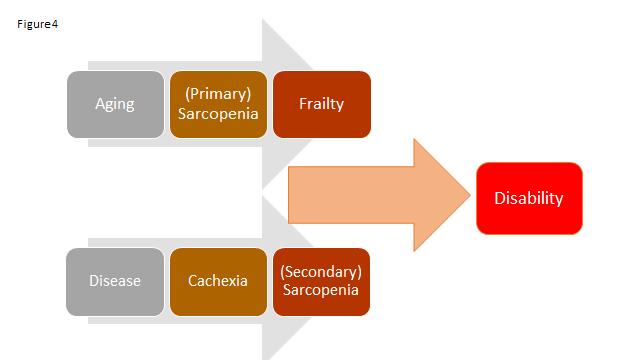 Åldrande & sjukdom funktionshinder & Robust & Healthy Geriatrisk vård