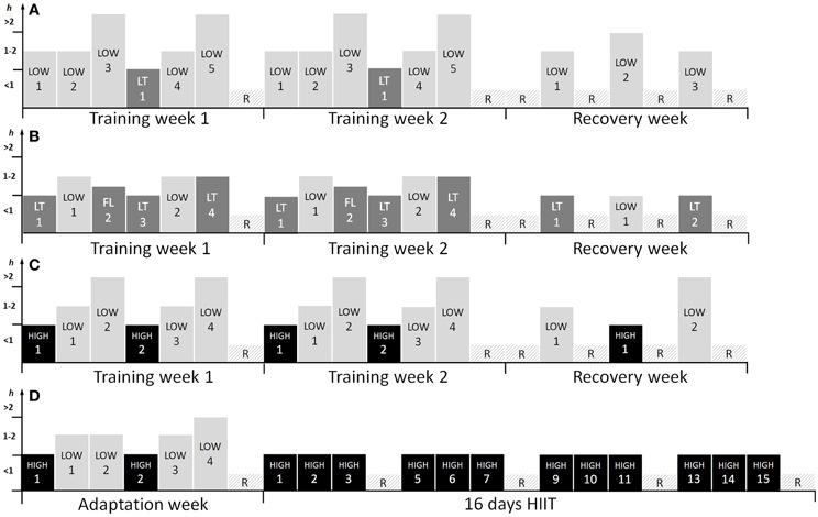 135 ± 5 kj) and the exercise duration 17 times longer (60 vs. 3.