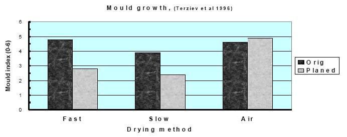 Furusplintytor som torkats med snabbt torkningsschema har högre mögelbenägenhet än ytor som torkats långsamt (Terziev 1996), se figur 13.