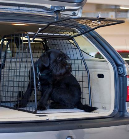 Mediumbur Hundbur Dubbel med stötfångarsskydd