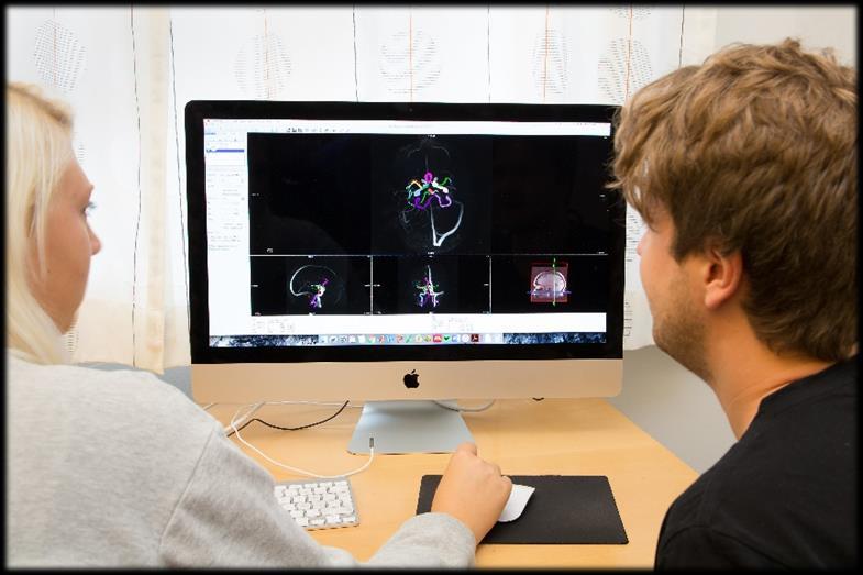 Forskningsaktiviteter 2017 Under 2017 har avdelningen tillsammans med kliniska partners genomfört flera lyckade forskningsprojekt bl a inom områdena hjärta och kärl, neurologi, fysioterapi och