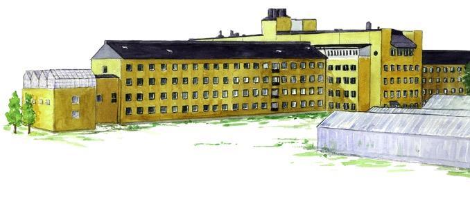 Umeå Plant Science Centre Ett excellenscenter för växtforskning - och en