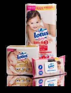 Vårt varumärke Lotus är med sina 50 år på den franska marknaden, ett välkänt varumärke för konsumenter vad gäller consumer tissue.