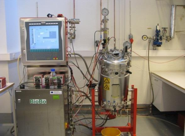 bioreactor