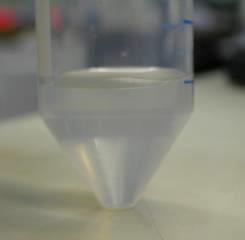 nanokristallin cellulosa (CNC)