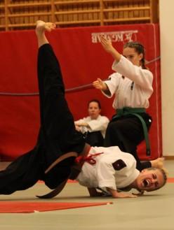 Fredrik Widgren, Budo och Kampsport - Ju jutsu Född 1994 och uppvuxen i Nacka Tävlar för Nacka