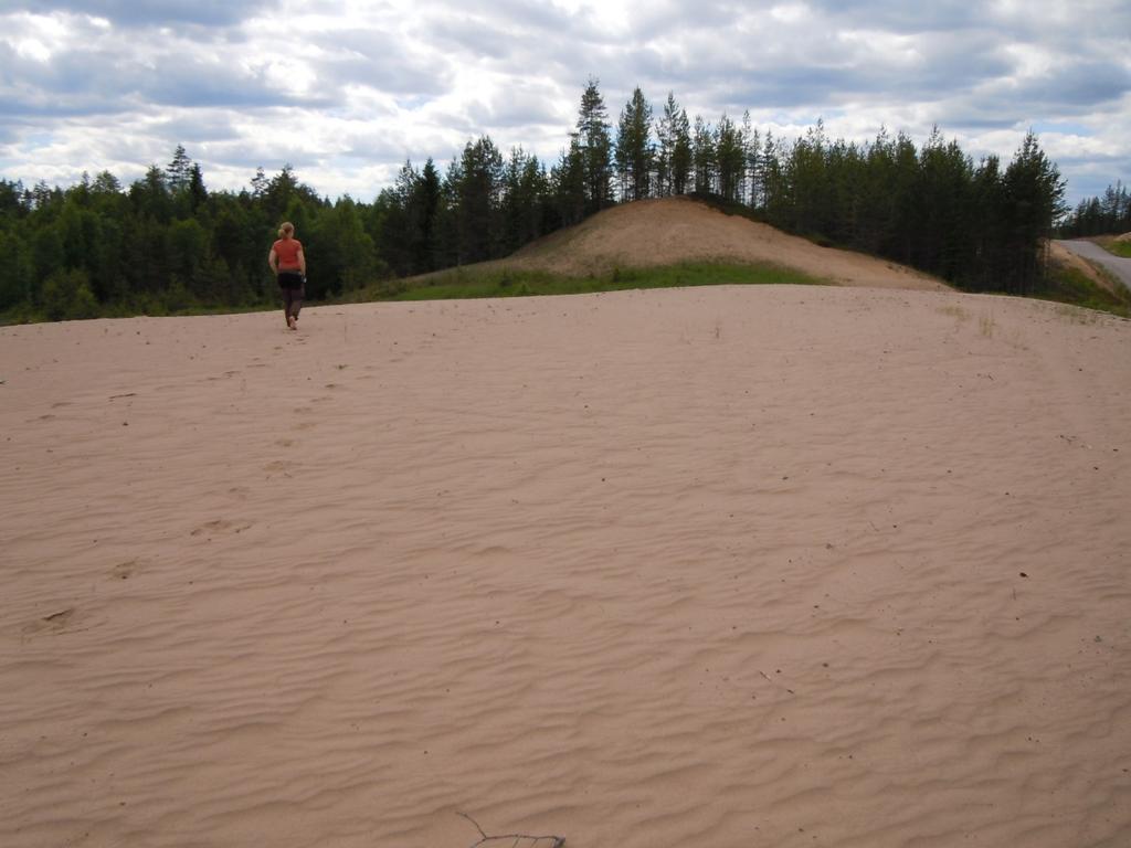 Öppet sandområden med flygsand längs vägen i Haftahedarna, Vansbro kommun. Foto: Urban Gunnarson, juni 2010