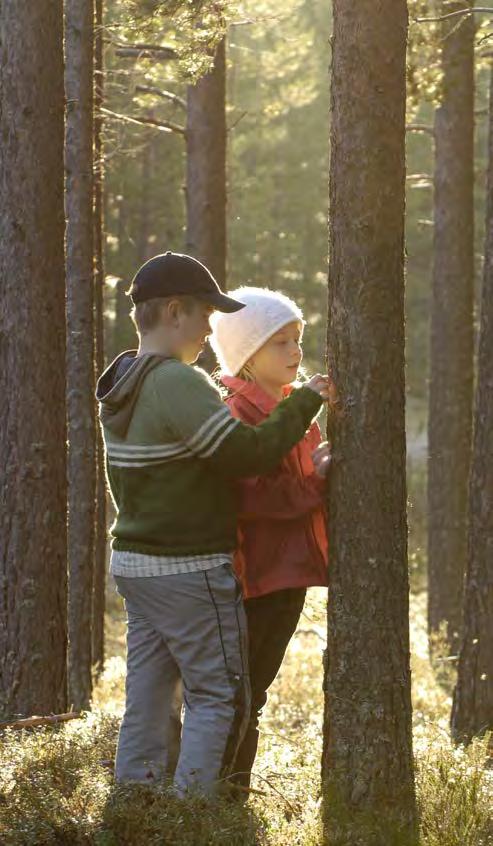 VERKSAMHETEN / OMVÄRLDENS FÖRVÄNTNINGAR Värdeskapande för SCAs intressenter SCA skapar värde för och berör ett stort antal olika intressenter medarbetare, kunder, ägare, leverantörer och det