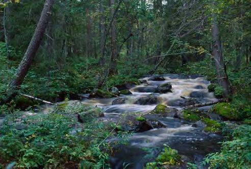 Störst klimateffekt uppnås genom att koncernens produkter ersätter andra produkter med ett större kolspår, till exempel genom att biobränslen ersätter fossila bränslen, trävaror ersätter betong, och