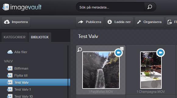 3.1.2. Välja valv ImageVault Användarmanual Välj ett valv genom att aktivera fliken bibliotek och markera valvet. Alla bilder i det valda valvet visas.