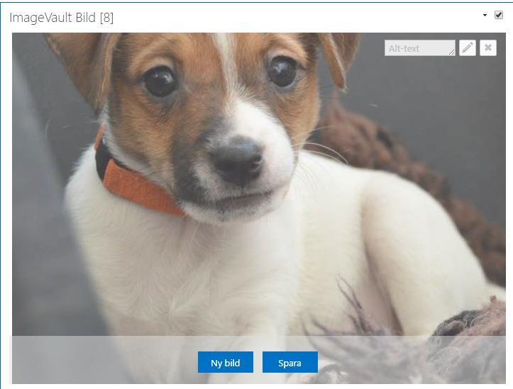 Spara infogad fil via knappen Spara. Vill man byta ut filen använder man knappen Ny bild. Initierar editorn. Tar bort fil. Fält att ange en Alt-text i.