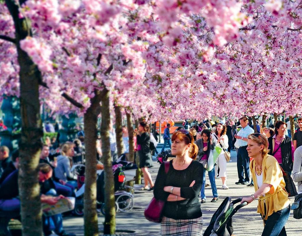 Översiktsplan för Stockholm Godkännandehandling enligt stadsbyggnadsnämndens beslut Stadens identitet ska stärkas Alla nya byggprojekt ska bidra till att höja upp levelsen av Stockholm och förbättra