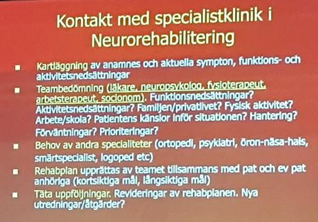 Christian Oldenburg, leg psykolog, doktorand Han berättade om neuropsykologiska utredningens betydelse vid lätt traumatisk hjärnskada.