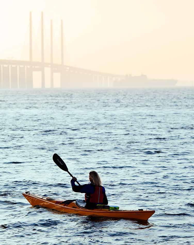 Vision Skåne livskvalitet i världsklass Foto: Leif Johansson