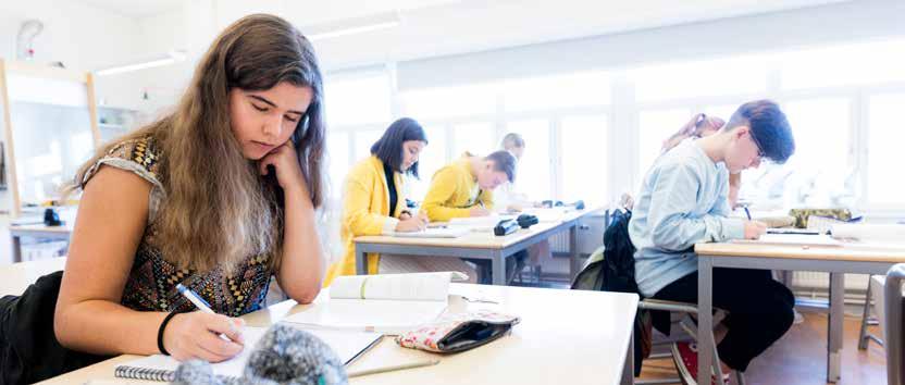 På Kulturama Gymnasium kan du läsa två program som ger dig högskolebehörighet efter avslutade studier.