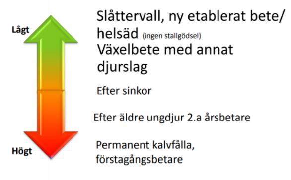 Man kan låta alla djur beta på fästingrika marker för att de ska bygga upp ett naturligt skydd, men det kan vara riskabelt. Det är bra att röja sly på betet eftersom fästingar trivs där.