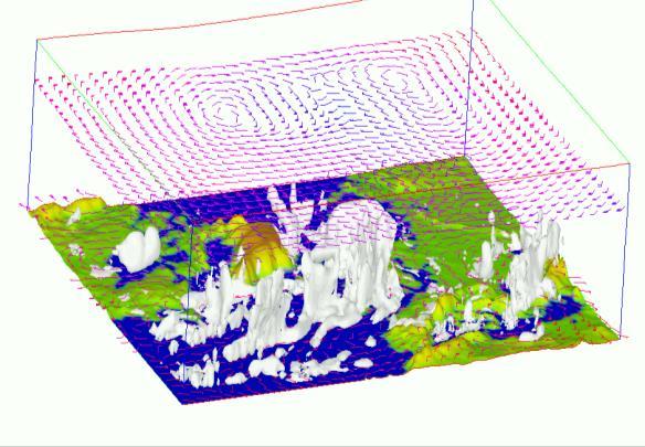 Meteorologiska data i SIMAIR-systemet Regional skala 3D-meteorologiska data från