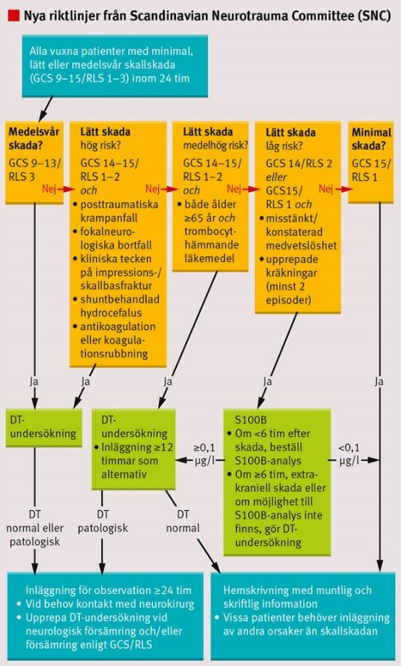 2007;296:84-9 Handläggning av vuxna med skallskada (2013): Scandinavian Neurotrauma